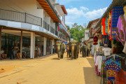 Sri Lanka_S_-916