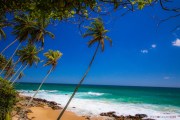 Sri Lanka_S_-1410