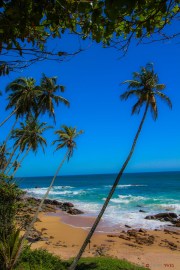 Sri Lanka_S_-1416