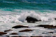 Sri Lanka_S_-1421