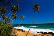 Sri Lanka_S_-1423