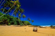 Sri Lanka_S_-1428