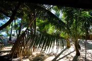Sri Lanka_S_-1442