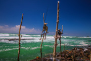 Sri Lanka_S_-1496