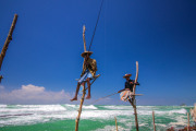 Sri Lanka_S_-1498