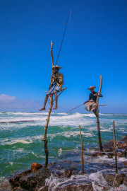Sri Lanka_S_-1499