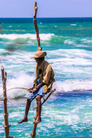 Sri Lanka_S_-1503