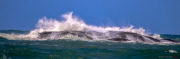 Sri Lanka_S_-1603