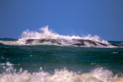 Sri Lanka_S_-1604