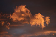 Ciel_2_140529