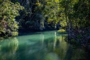 IMG_4402