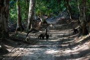IMG_4428