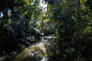 IMG_4435