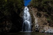 IMG_4461