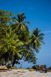 IMG_4497