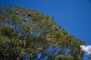 IMG_4831