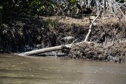 IMG_4835
