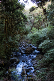 IMG_6038