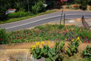Sri Lanka_S_-1023