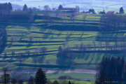 Ombres_du_printemps-1