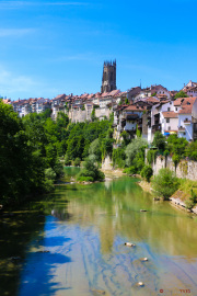 Ville de Fribourg-77