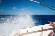 Maurice_s_-1021