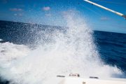 Maurice_s_-1027