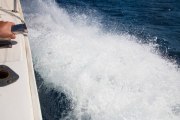 Maurice_s_-1058
