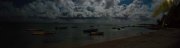Maurice_s_-202