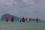 Maurice_s_-29