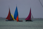 Maurice_s_-30