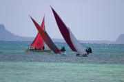 Maurice_s_-32