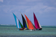 Maurice_s_-35