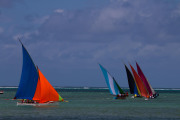 Maurice_s_-36
