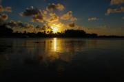Maurice_s_-5