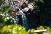 Maurice_s_-533