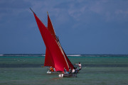 Maurice_s_-55
