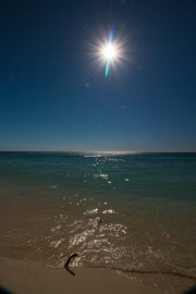 Maurice_s_-633