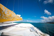Maurice_s_-798