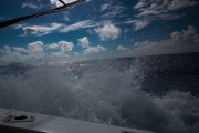 Maurice_s_-855