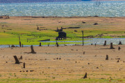 Sri Lanka_S_-1276
