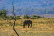 Sri Lanka_S_-1278