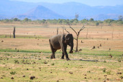 Sri Lanka_S_-1281