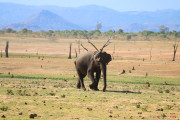 Sri Lanka_S_-1283