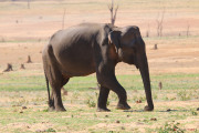 Sri Lanka_S_-1288