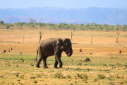 Sri Lanka_S_-1290
