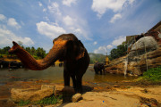Sri Lanka_S_-838