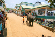 Sri Lanka_S_-907