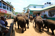 Sri Lanka_S_-912
