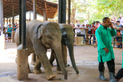 Sri Lanka_S_-925